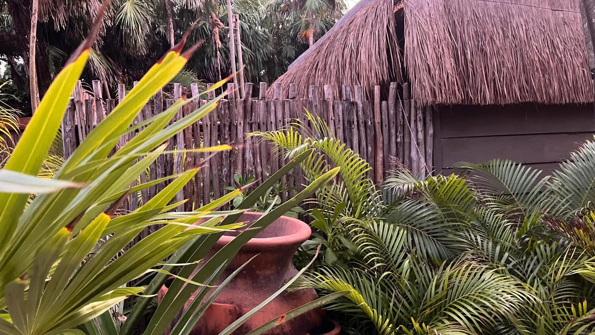 Amana Tulum , Beach Front Hotel