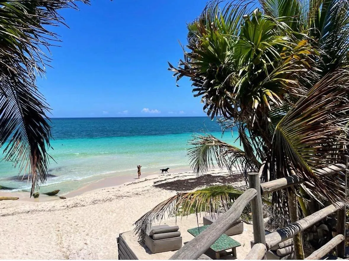 Amana Tulum , Beach Front Hotel