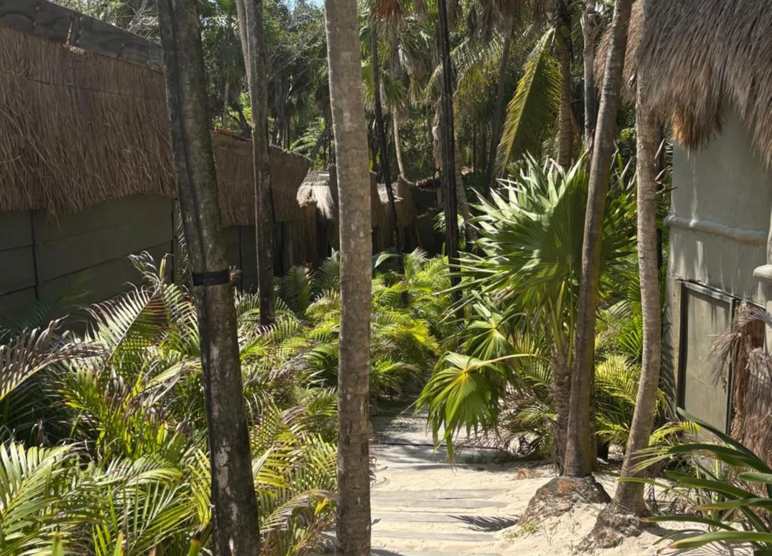 Amana Tulum , Beach Front Hotel Μεξικό
