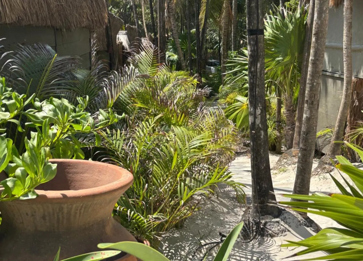 Amana Tulum , Beach Front Hotel